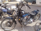 VENDO BAT BOY SOFTAIL CUSTON SPRINLLER 1340 TANRSFORMADA - mejor precio | unprecio.es