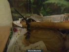 Serpiente rey de California (lampropeltis getulus californiae) URGE - mejor precio | unprecio.es