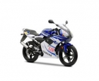 YAMAHA TZR Race Replica - mejor precio | unprecio.es