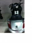 Peugeot satelis 125 en perfecto estado 1500€ - mejor precio | unprecio.es