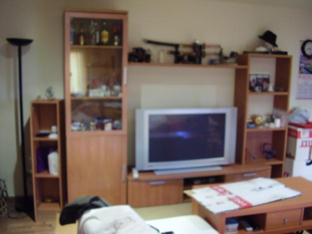 VENDO MUEBLES Y ELECTRODOMESTICOS POR MUDANZA