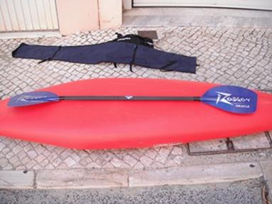 Vendo Kayak Prijon Twister!