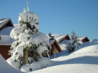 Apartamento en chalet : 5/7 personas - a pie de pistas - les saisies saboya rodano alpes francia - mejor precio | unprecio.es