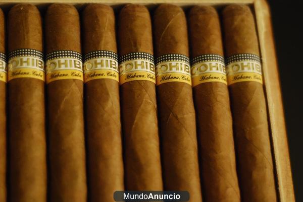 VENDO PUROS SIGLO VI 100 €