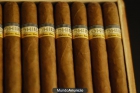 VENDO PUROS SIGLO VI 100 € - mejor precio | unprecio.es