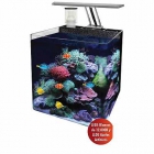 acuario nano marino - mejor precio | unprecio.es