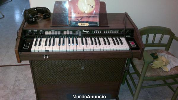 ORGANO MUSICAL ELECTRONICO