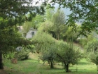 Casa : 1/8 personas - castrocaro terme  forli (provincia de)  emilia-romana  italia - mejor precio | unprecio.es