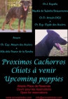 CAMADAS DE PASTOR DE BEAUCE ( BEAUCERON ) - mejor precio | unprecio.es