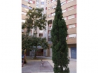 Apartamento en Valencia - mejor precio | unprecio.es