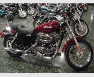 HARLEY DAVIDSON Xl 1200 Low