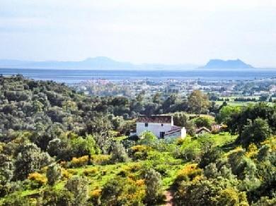 Terreno se vende en Estepona, Costa del Sol