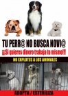 NO COMPRES NI CRIES PASTORES ALEMANES, ADOPTA Y SALVA VIDAS - mejor precio | unprecio.es