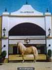 equitación A-Andalus - mejor precio | unprecio.es