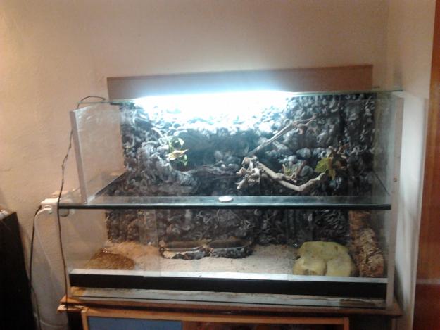 URGUE VENTA TERRARIO CON FONDO ROCOSO