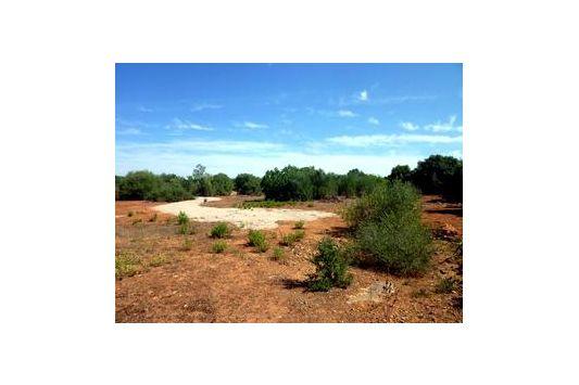 Finca En Venta en Ses Salines, Mallorca