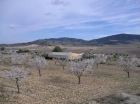 Hondon de las nieves - Country Property - Hondon de las nieves - CG12937 - 5 Habitaciones - €199995€ - mejor precio | unprecio.es
