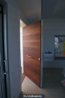 puertas exterior pivotantes eje desplazado - mejor precio | unprecio.es