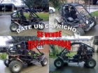 vendo Buggy AZEL sport o cambio po segway x2 - mejor precio | unprecio.es