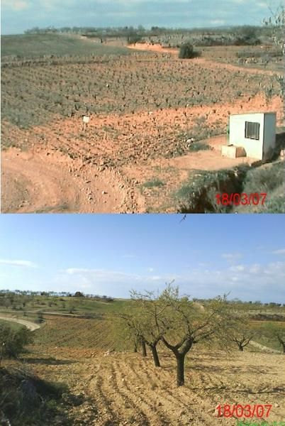 Se vende terreno agrícola en Utiel