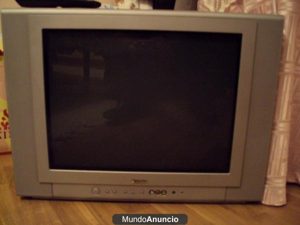 VENDO TELEVISOR 21\