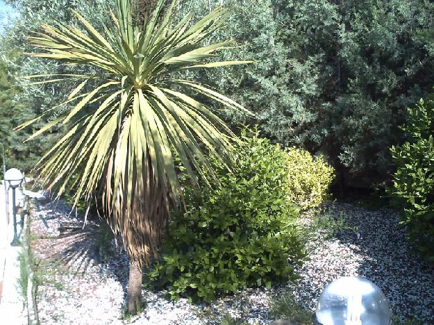 Chalet en Campo Real