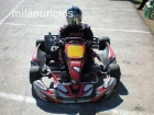 Se vende kart rotax max 125 con chasis jesolo - mejor precio | unprecio.es