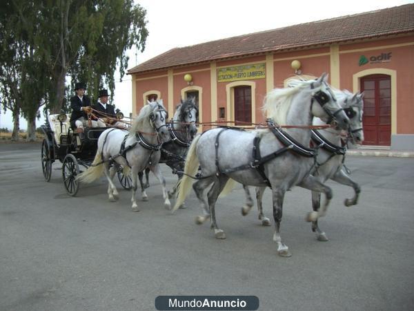 ALQUILER DE CARRUAJES Y COCHES DE CABALLOS