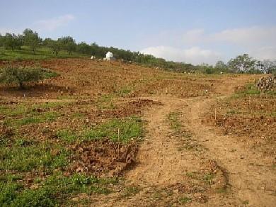Terreno se vende en Alora
