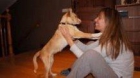 Meryl con 5 mesesitos apunto de ser sacrificada - mejor precio | unprecio.es