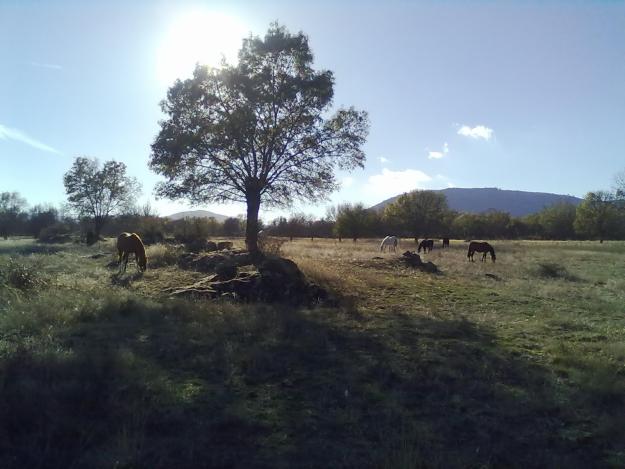 CENTRO ECUESTRE CERRADA DE GARAY