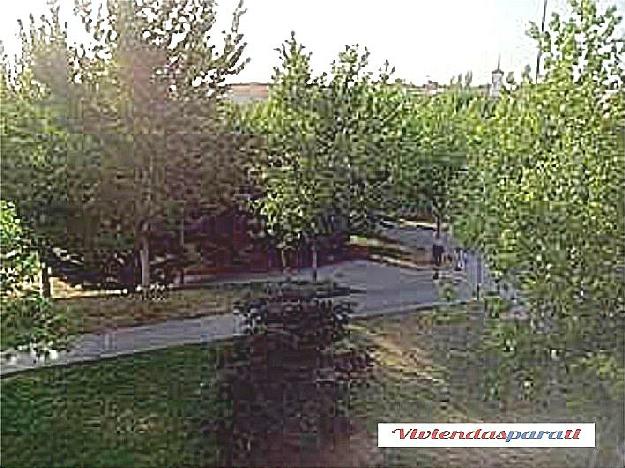 Estudio en Majadahonda