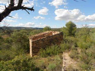 Finca/Casa Rural en venta en Palma d'Ebre (La), Tarragona (Costa Dorada)