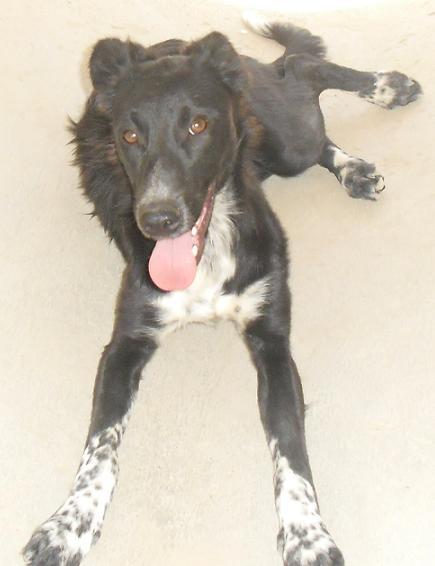 Luna con tan solo 6 meses ya conoce la soledad y el abandono