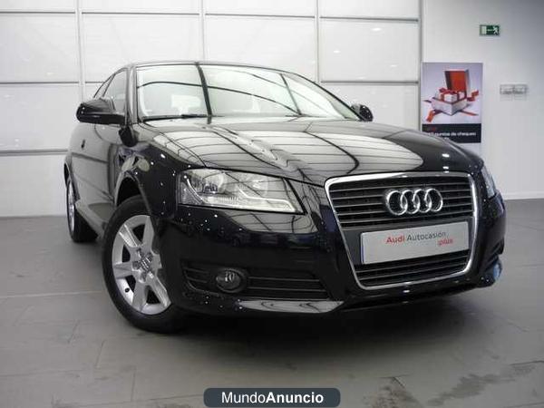 Audi A3 1.6 TDI Attraction 105CV