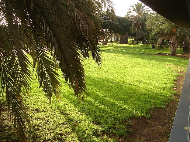 Piso en Palmas de Gran Canaria(Las)