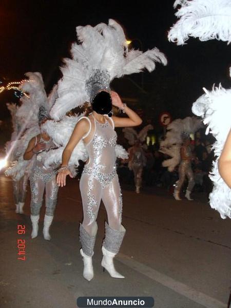 Traje de carnaval-espectaculos