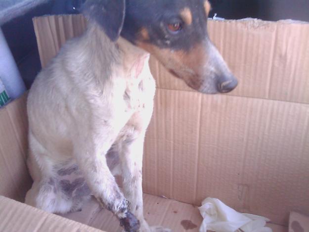 bodeguerita busca familia