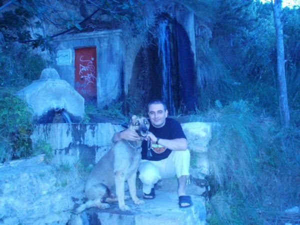 me gustaria me regalaran un pastor aleman , soy amante de los animales
