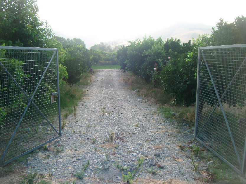 parcela en San Martin del Tesorillo