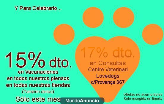 Centro Veterinario Lovedogs