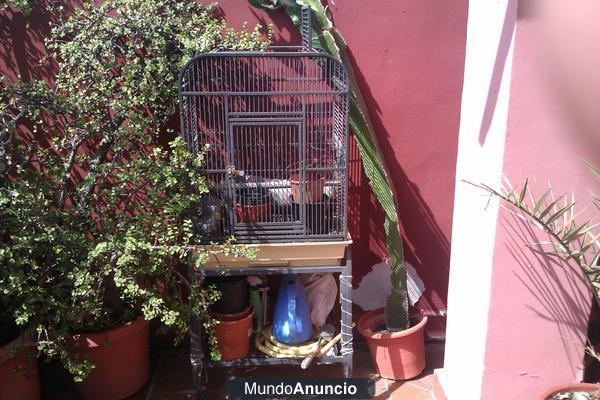 VENDO JAULA LOROS, PAJAROS, AVES. . .