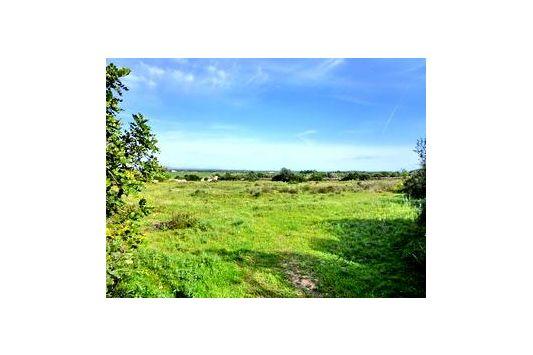 Finca En Venta en Ses Salines, Mallorca