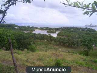 VENTA DE LOTE EN ISLA TIERRA BOMBA CARTAGENA