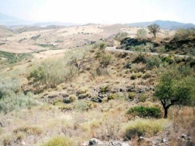 Terreno se vende en Alora