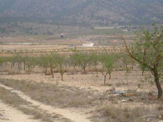 Solar/Parcela en venta en Pinoso, Alicante (Costa Blanca)