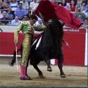 Entradas Jose Tomas Feria de Malaga 2009