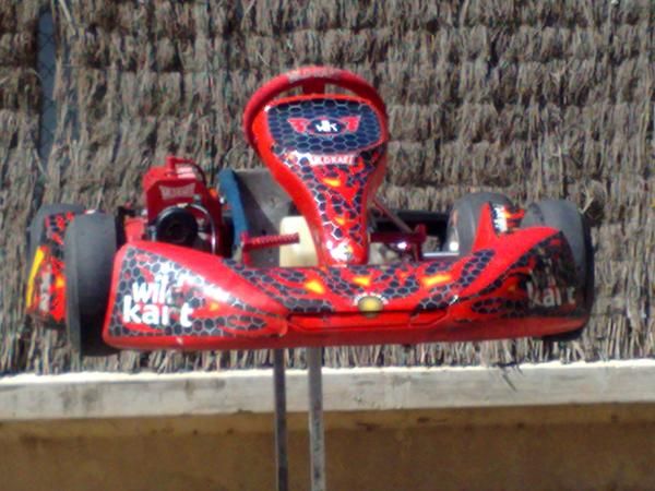 Se vende kart alevin