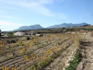 Terreno se vende en Benissa