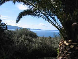 Villa : 4/5 personas - vistas a mar - olmeto  corcega del sur  corcega  francia